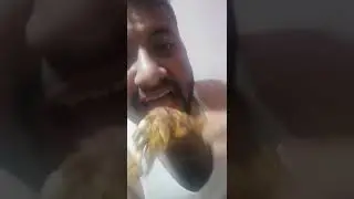 chicken leg piece