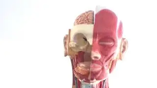 Advertise Your Mind!!!