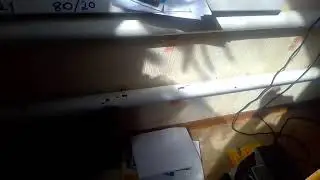 Прямая трансляция пользователя juicetomatorus