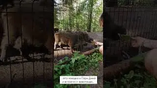 Что такое Селтинский район?