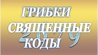 ГРИБКИ.СВЯЩЕННЫЕ КОДЫ