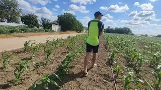 У Молодого Фермера Появился Оператор Херсонская Область