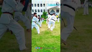 taekwondo kicks is 😱 oopp#taekowndo #martial #trending #viral #youtubeshorts