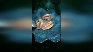 САДЖ, своими руками