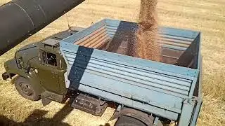 Уборочная 2020