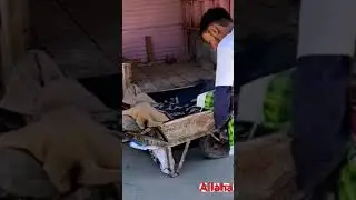 alhamdulillah