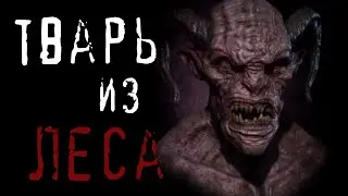СТРАШНЫЕ ИСТОРИИ - Тварь из леса