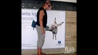 ТЕСТ НА ПСИХИКУ))))ПОПРОБУЙ НЕ ЗАРЖИ!!!(СБОРКА СО ВСЕХ КАНАЛОВ)