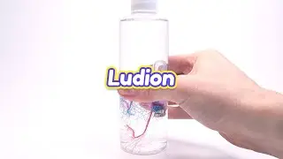 Kit Scientifix 2021 - Ludion