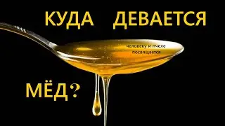Что означает человек разумный? Рассуждения о смысле бытия человека. Oskar Geyz