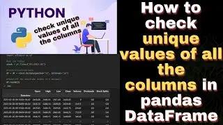 How to check unique values of all the columns in pandas Dataframe 