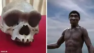 20 Astonishing Archaeological Discoveries of the 21st Century | Treasures & Ancient Mysteries!