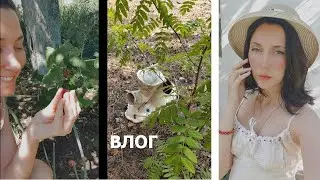 Нашла унитаз в лесу, юбку 15 летней девочки и свое предназначение под дождем