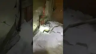 Ловля хоря капканом
