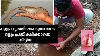 മീൻ കുളം വ്യത്തിയിക്കൽ/ ഒട്ടും പ്രതീക്ഷിക്കാതെ കിട്ടിയ കൊഞ്ചൻ#SVThalasseryCouple