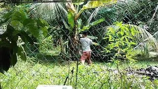 salam Dari binjai