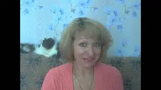 Анекдоты про "встать. суд идет..."