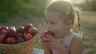 Modi Apple's 2019 - See where Modi apples start