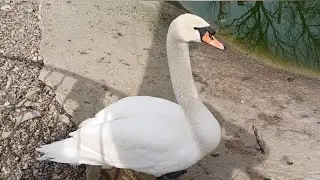 Ейск. Михаило Архангельский храм 🙏