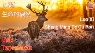 羅皙-生命的偶然 (Luo Xi-Sheng Ming De Ou Ran)