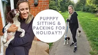 Puppy sitting, holiday packing & ASOS Christmas shopping?! September VLOG | Natalia Talks About
