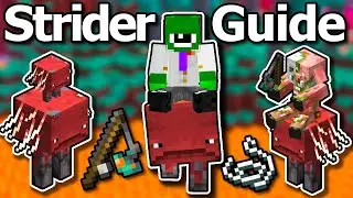 Ultimate Minecraft 1.20 Strider Guide - How To Ride Striders Fast, Breeding, Warped Fungus