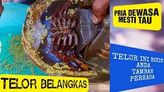 Pria mesti tau ! Telur Belangkas atau Mimi(Momo) Kaya manfaat