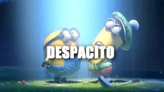 DESPACITO MINIONS COVER