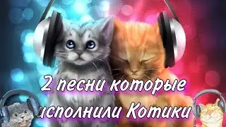 2 песни которые исполнили котики