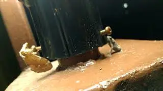 In a Park light, twerking frog a gets proposal from her crush (Part 1/3)