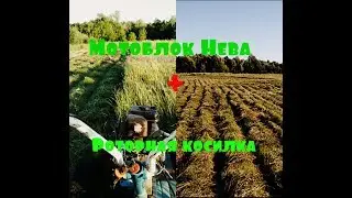 Мотоблок Нева МБ-2 в поле с роторной косилкой