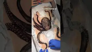 #tattoo #tattoos #tattooartist #tattooart #tattoodesign #tattoolover #tattooed #tattooshorts #shorts
