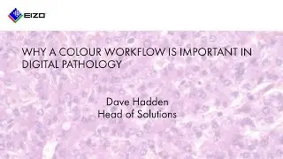 Why a colour workflow is important within digital pathology