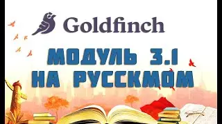 GOLDFINCH FLIGHT ACADEMY ГОЛДФИНЧ НА РУССКОМ   МОДУЛЬ  3.1 РУССКИЙ  ПЕРЕВОД