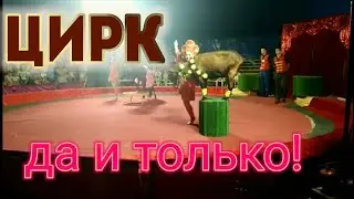 СОНЯ первый раз в ЦИРКЕ! ВЕСЕЛОЕ представление для детей 0+. 