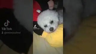 видео моë