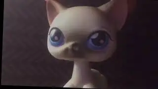 🤍[ ʟᴘs ᴍᴠ-гᴜпʜᴏзы ]🤍