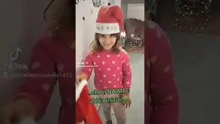 INIZIAMO le DECORAZIONI del NOSTRO NATALE 2024! #sorellepazzerelle