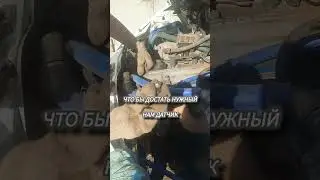 Галя, у нас замена😂😂😂 #газелистка33