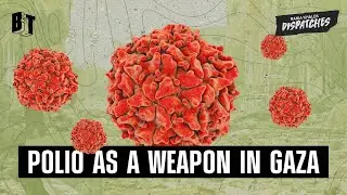 Polio Strikes Gaza: How Israel Is Using Disease As a Weapon