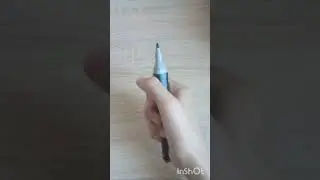 Как нарисовать капибару🧡💛