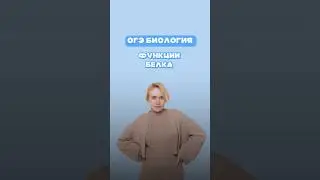 Функции белка 