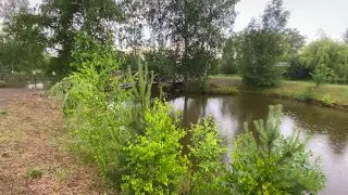 Гостиничный комплекс Гостиный двор Нехачево - пруд, Отдых в Беларуси