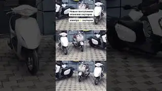 Новое поступление японских скутеров! #мотосалон #япоскиескутер