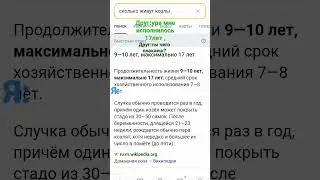 кто понял тот понял