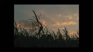 Ejemplos: Fotografía de Paisaje