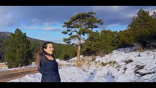 MUSFOD Yılanlı fotoğraf gezi klibi