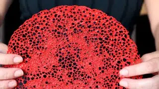 Coral Tuile. Food decor for salads, snacks, cakes and pastries.