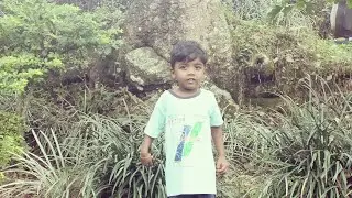 My son studying