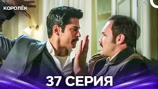 Королёк 37 Серия (Русский Дубляж)